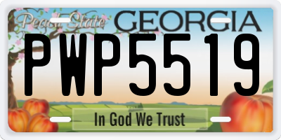 GA license plate PWP5519