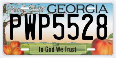 GA license plate PWP5528