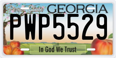 GA license plate PWP5529