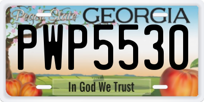 GA license plate PWP5530