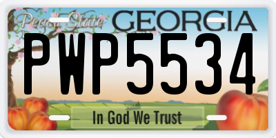 GA license plate PWP5534