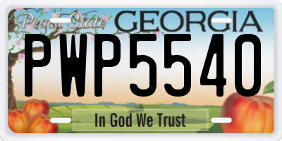 GA license plate PWP5540