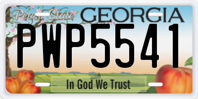 GA license plate PWP5541