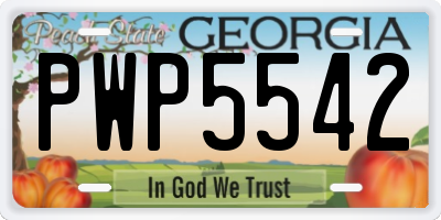 GA license plate PWP5542