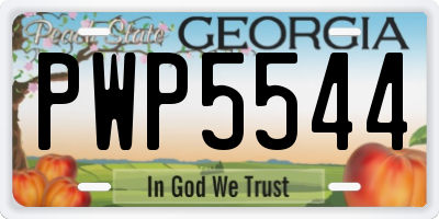 GA license plate PWP5544