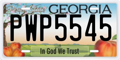 GA license plate PWP5545