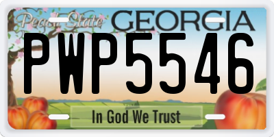 GA license plate PWP5546