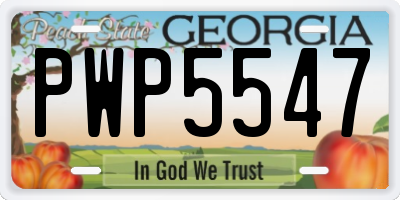 GA license plate PWP5547