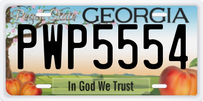 GA license plate PWP5554