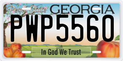 GA license plate PWP5560