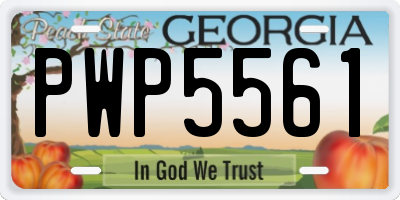 GA license plate PWP5561