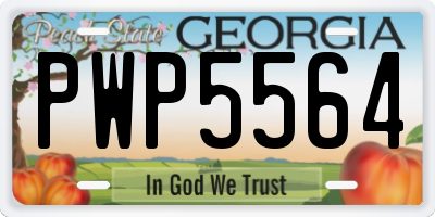 GA license plate PWP5564