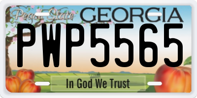 GA license plate PWP5565