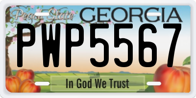 GA license plate PWP5567