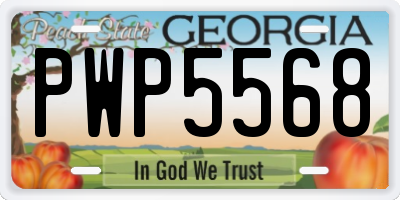 GA license plate PWP5568