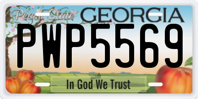 GA license plate PWP5569