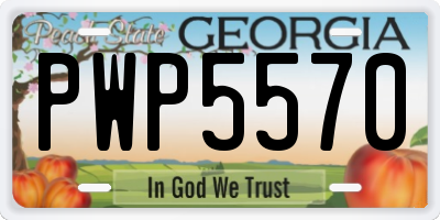 GA license plate PWP5570