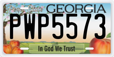 GA license plate PWP5573