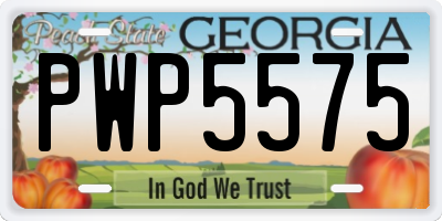 GA license plate PWP5575