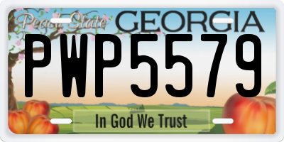 GA license plate PWP5579