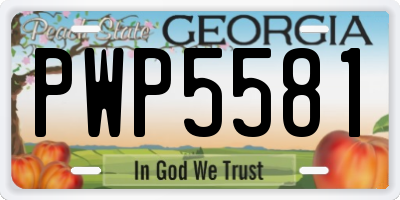 GA license plate PWP5581
