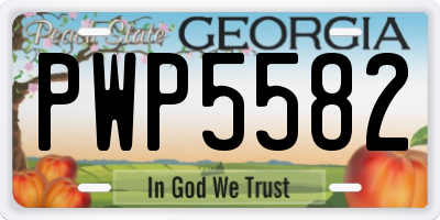 GA license plate PWP5582