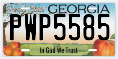 GA license plate PWP5585