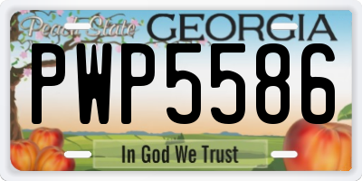 GA license plate PWP5586