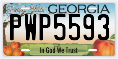 GA license plate PWP5593