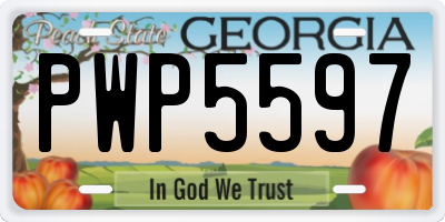 GA license plate PWP5597