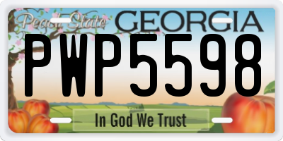 GA license plate PWP5598
