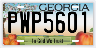 GA license plate PWP5601