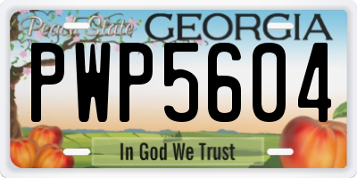 GA license plate PWP5604