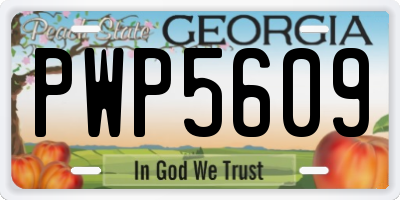 GA license plate PWP5609