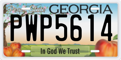 GA license plate PWP5614