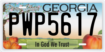 GA license plate PWP5617