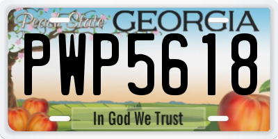 GA license plate PWP5618