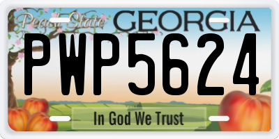 GA license plate PWP5624