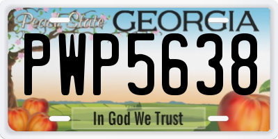 GA license plate PWP5638