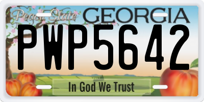 GA license plate PWP5642