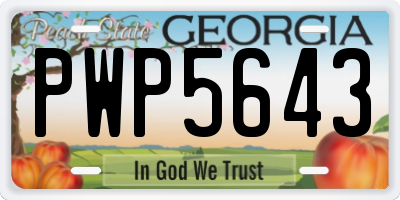 GA license plate PWP5643