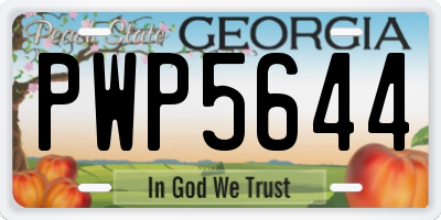 GA license plate PWP5644