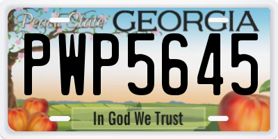 GA license plate PWP5645
