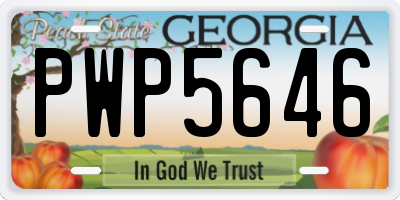 GA license plate PWP5646