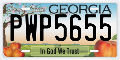 GA license plate PWP5655