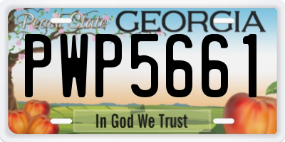 GA license plate PWP5661