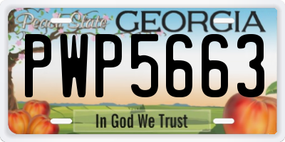 GA license plate PWP5663