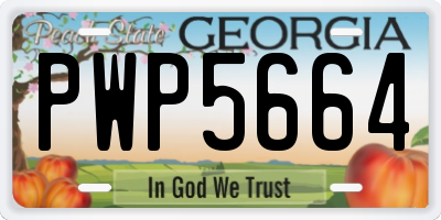 GA license plate PWP5664