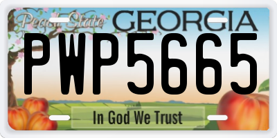 GA license plate PWP5665