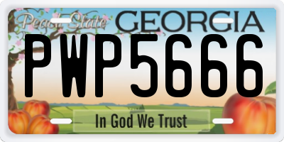 GA license plate PWP5666